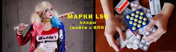 гидра Заводоуковск