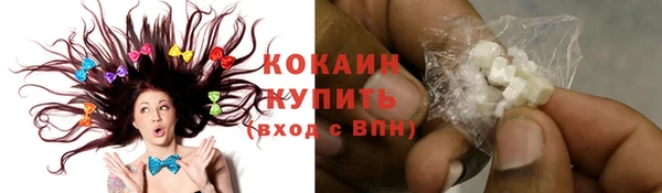 гидра Заводоуковск