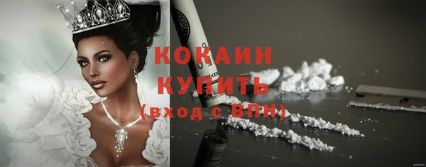 гидра Заводоуковск
