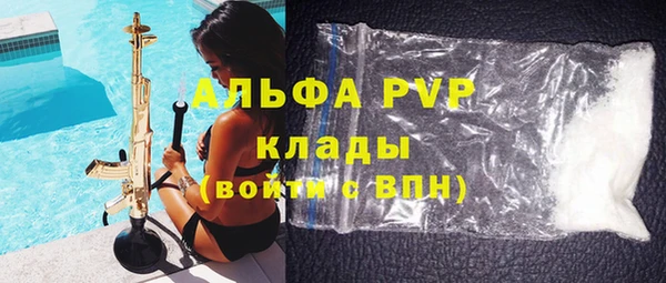 гидра Заводоуковск
