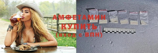 гидра Заводоуковск