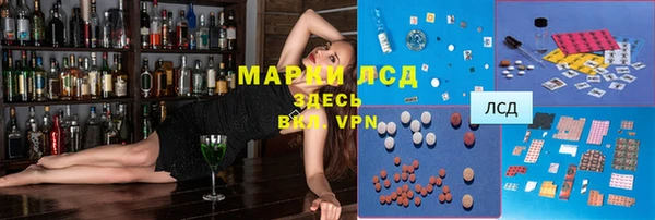 гидра Заводоуковск