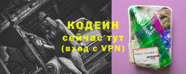 гидра Заводоуковск