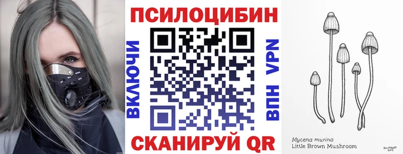 Псилоцибиновые грибы ЛСД  Купить где  Мещовск 
